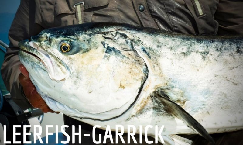 Leerfish (Garrick)