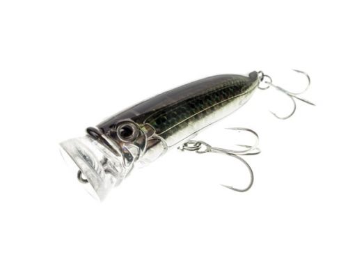 Feed Popper by Tackle House, many different sizes for all kind of fishing situations