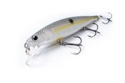 Flash Pointer 100 and 115, suspending jerkbaits by Lucky Craft